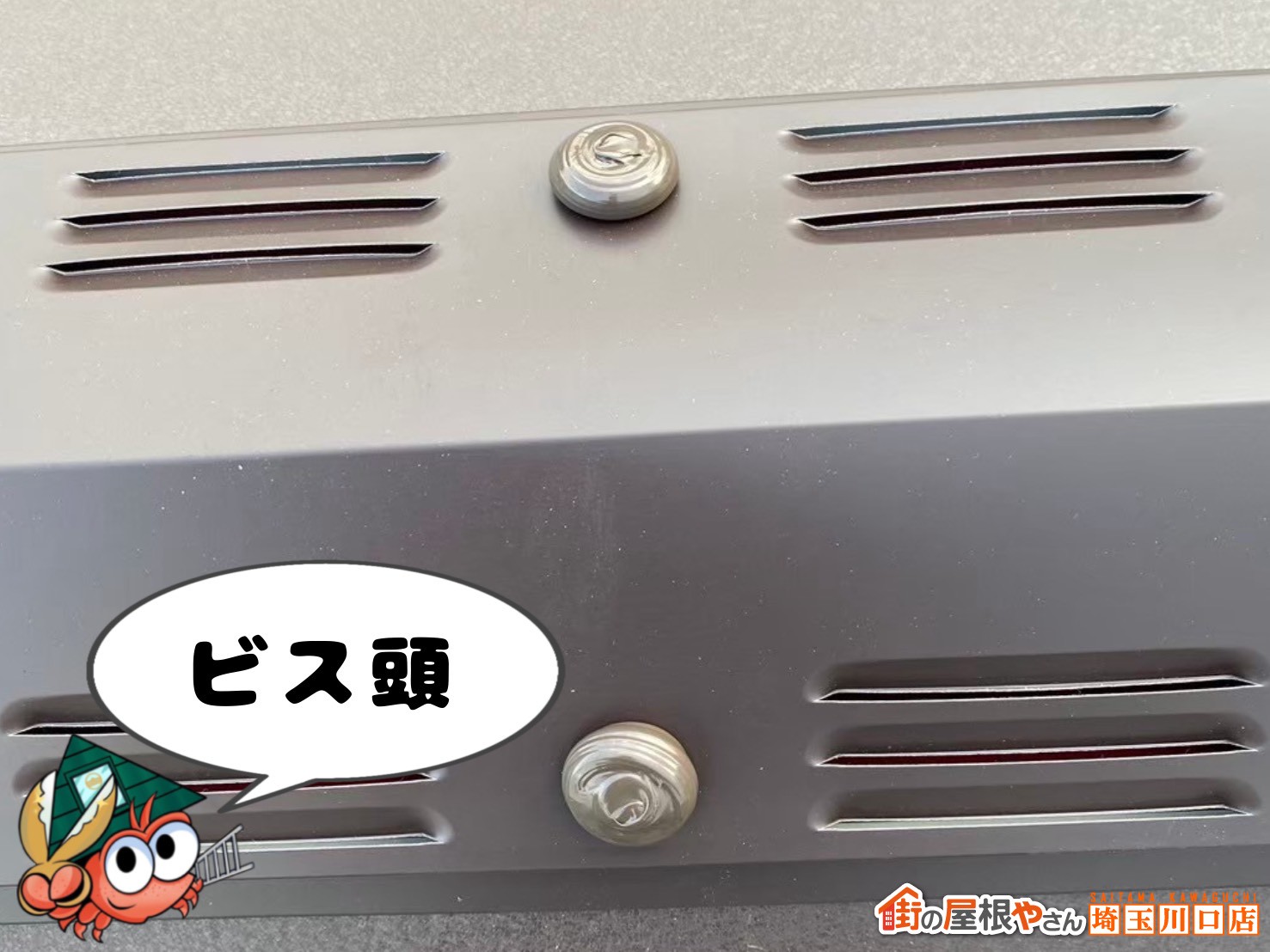 コーキング　ビス頭